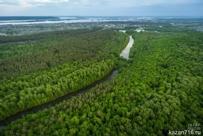 In the forests of Tatarstan, nearly 2,400 km of new firebreaks have been established.