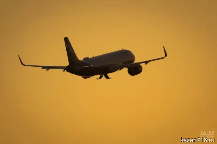 Minnikhanov discussed the possibility of opening direct flights with the head of VietJet Air.