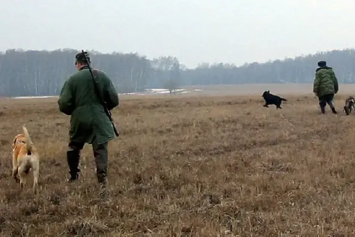 In Tatarstan, the hunting season for moose and fur-bearing animals has opened.