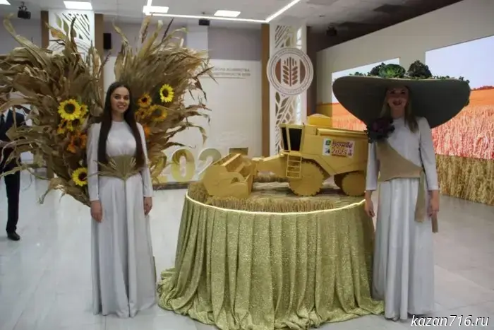 Highlights of the 2025 Harvest Festival in Zainsk