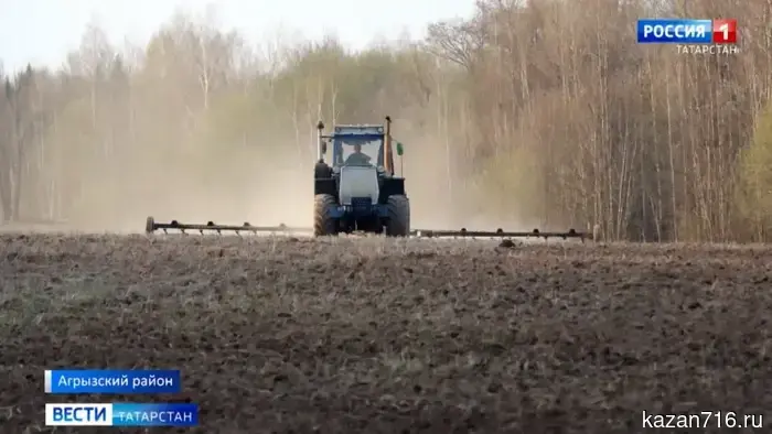 The sowing has started in 11 districts of Tatarstan.