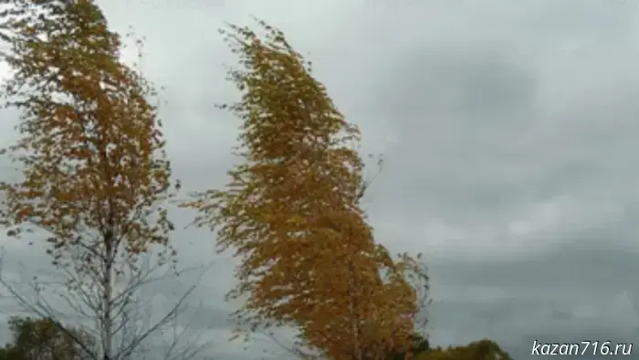 Emergency warning for 19.11.2025.