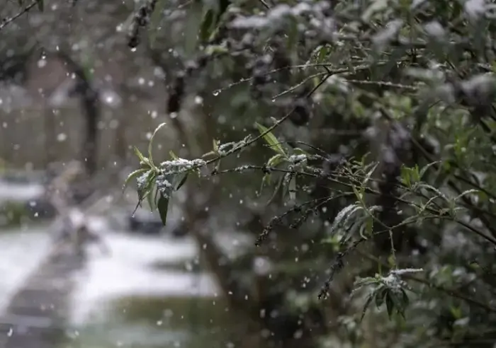 Kazan residents filmed the first autumn snow.