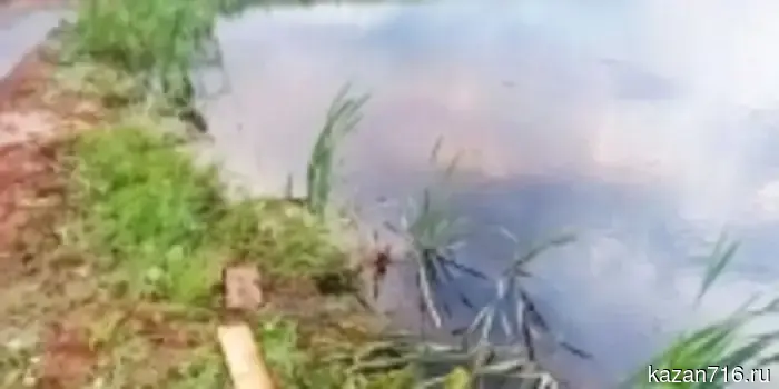 В Татарстане возбуждено уголовное дело против французского гражданина, который пытался нелегально транспортировать 17 медицинских протезов.