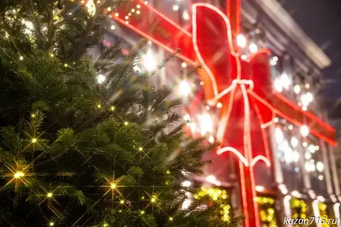 The Minister of Justice fulfilled the New Year's dream of a teenager from Kazan.