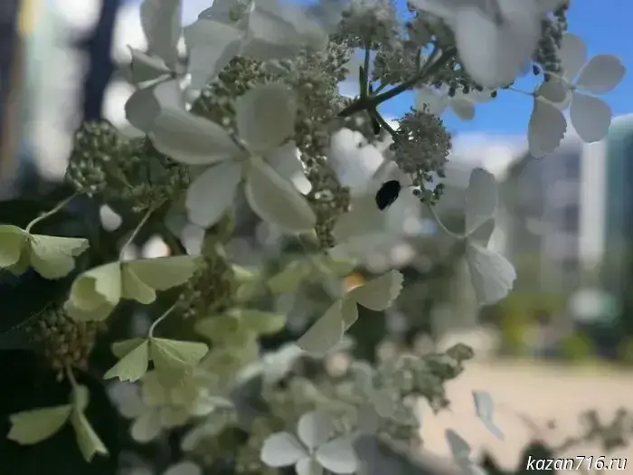 Summer weather is returning to Tatarstan.