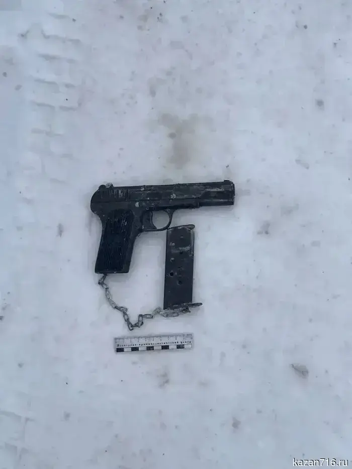 В Елабужском районе у жителя Нижнекамска конфисковали пистолет ТТ, патроны и объект, напоминающий гранату.