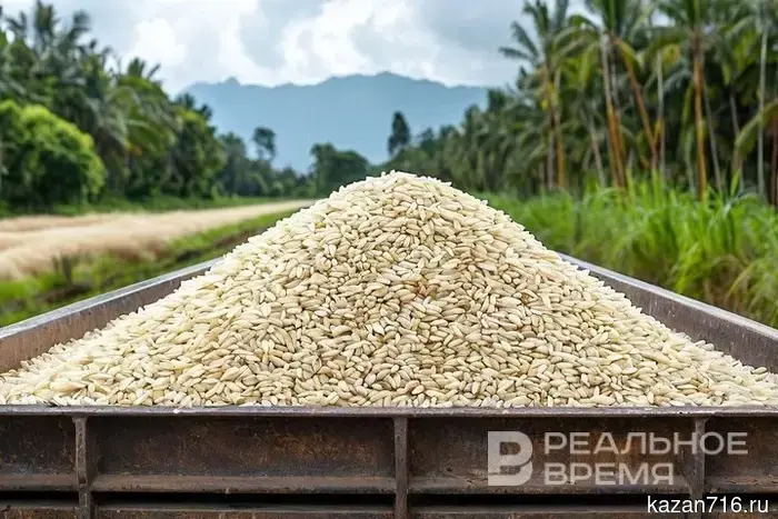 Due to logistical problems, the Ministry of Agriculture is changing the routes for the supply of grain and oil.