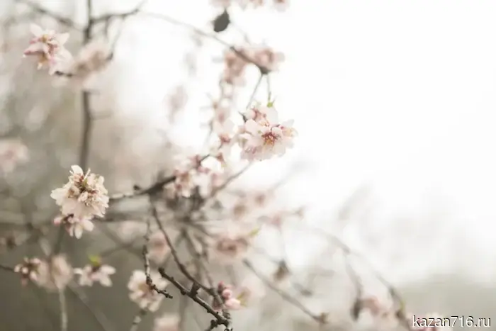 The forecaster announced a warming up to +21 degrees on Easter in several regions of Russia.