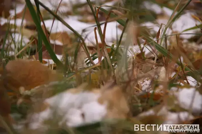 Frosts down to -4 degrees are expected in Tatarstan.