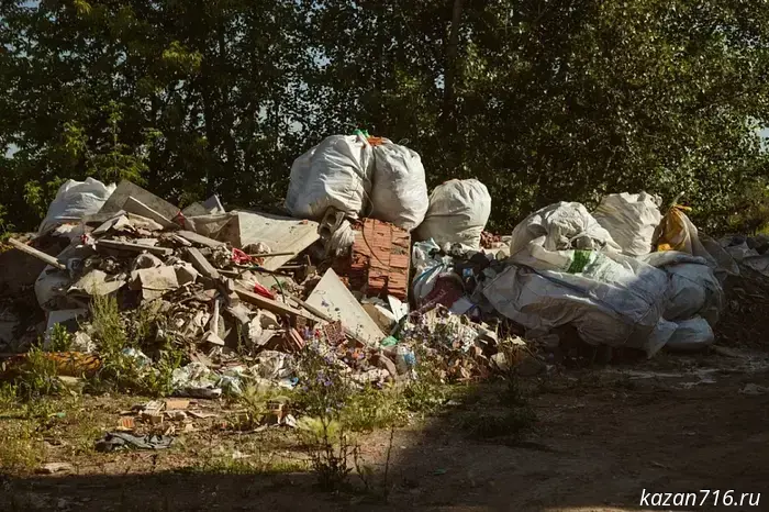 Экологи обнаружили свыше ста нарушений в Челнах.