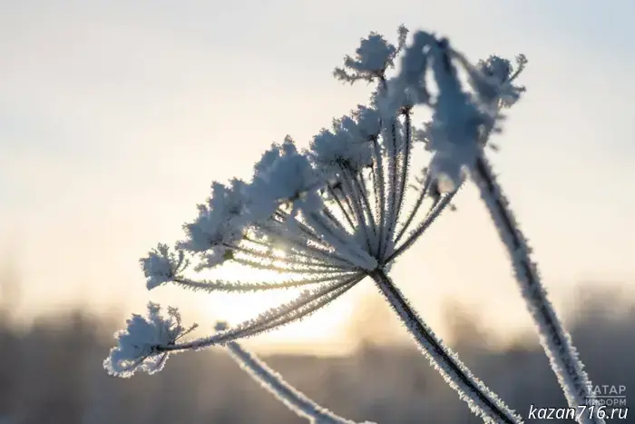 A slight cold snap is expected in Tatarstan in mid-January.