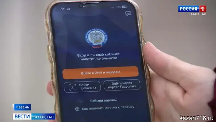 Жителям Казани объяснят, как получить налоговый вычет для самозанятых.