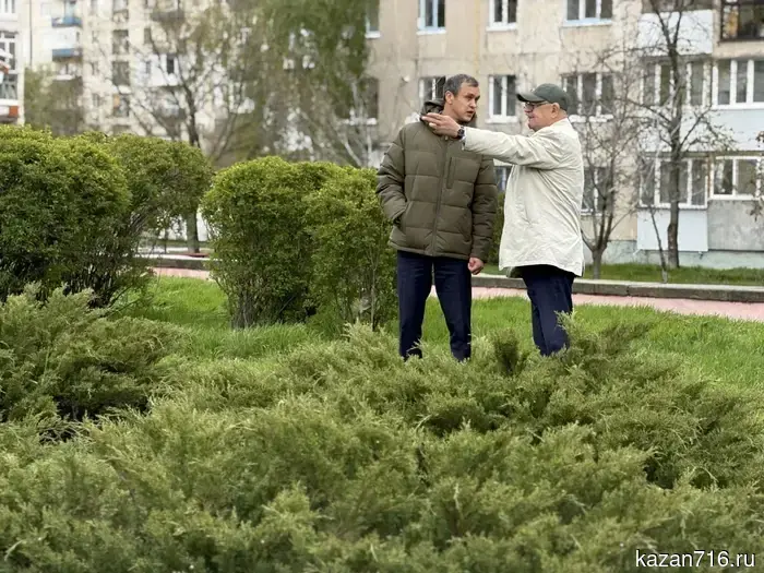 Experts of KGAU assessed the condition of green areas in Lysychansk and Rubizhne.