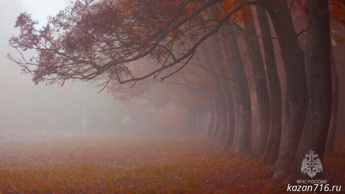 Emergency warning for November 18, 2025 (fog)