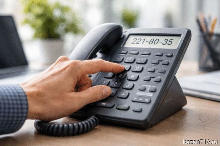 Жителей Татарстана приглашают принять участие в телефонных консультациях в приемной Президента России.