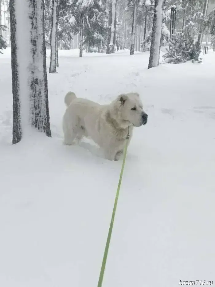 Rustam Minnikhanov shared a winter photo of Akdusa.
