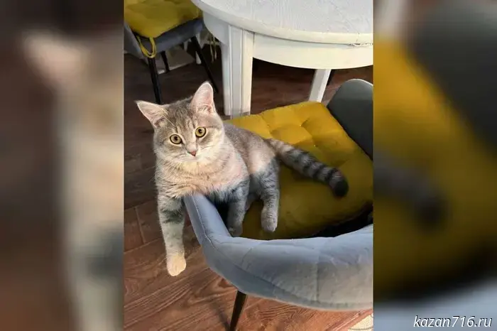 Над Челнами пронесся метеорит.