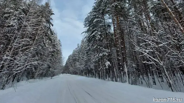 Tatarstan's nature reserves: where nature inspires and teaches