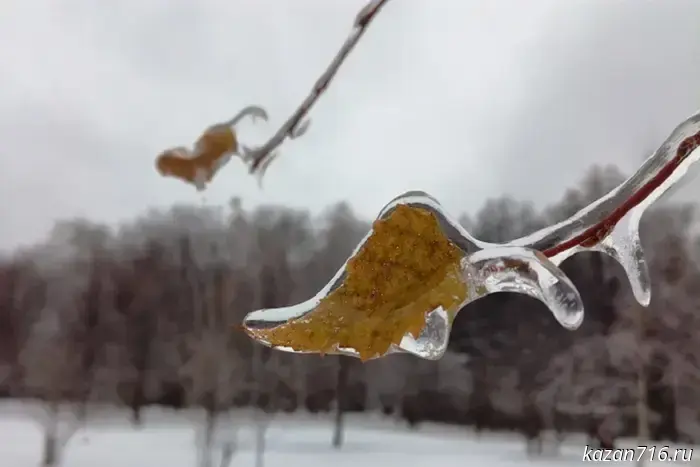 Метеорологи предупредили жителей Татарстана о возможных туманах и гололеде.