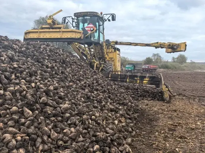Record set: Zainsky District posts high sugar beet yields