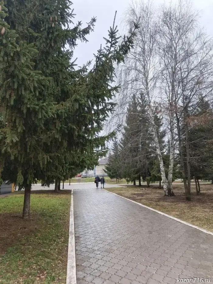 Snow and rain are expected in Mendeleyevsk on November 28.