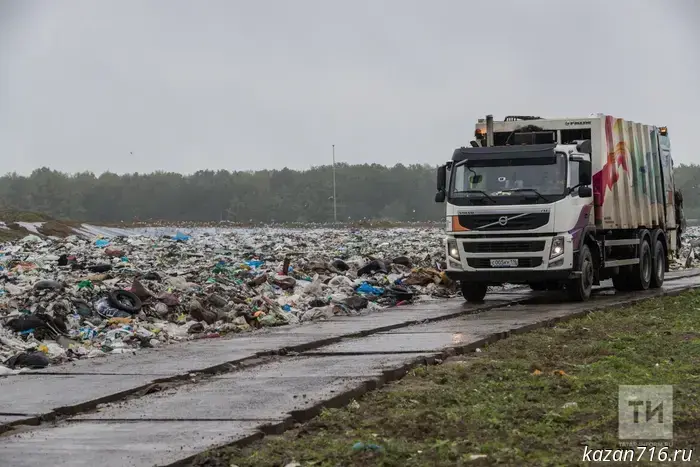 A Disposable World: The Environmental Consequences of Consumer Culture