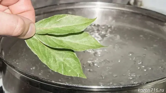 Before each cleaning I boil a bay leaf: my mother-in-law taught me this — an amazing household lifehack from my collection.