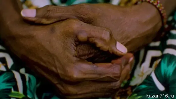 Активисты «Единой России» оказали поддержку приюту для животных.