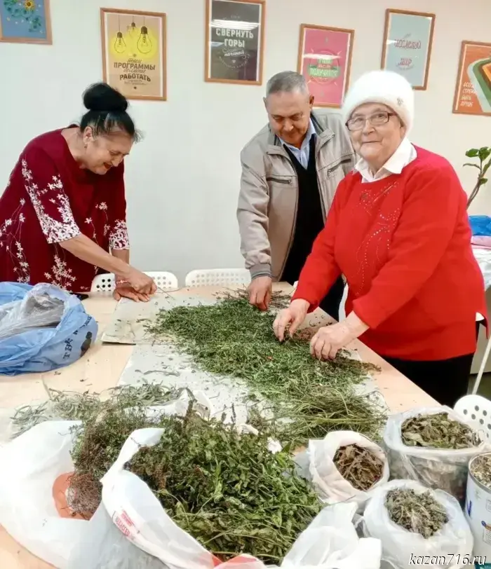 Волонтеры из Нижнекамска собрали лекарственные травы для бойцов СВО.