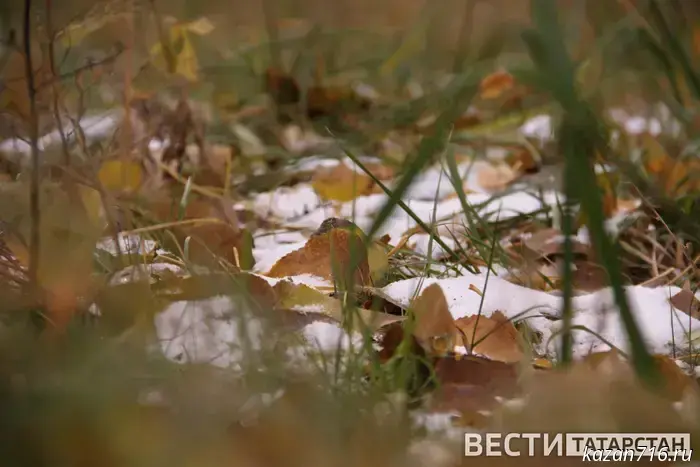 В Татарстане прогнозируются заморозки до -2 градусов.