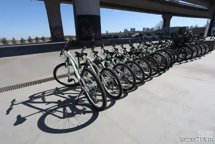 Сенатор Шейкин сообщил о планируемых ограничениях для электровелосипедов.