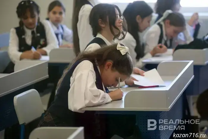 В Нижнекамске власти выступили против открытия филиала школы «СОлНЦе».