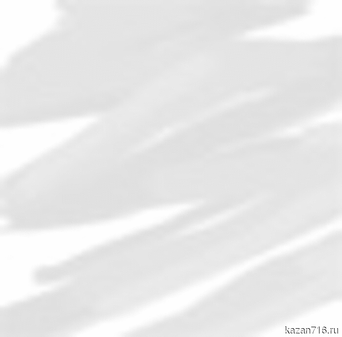 В Лениногорском районе продолжаются собрания с жителями (обновлённый график)