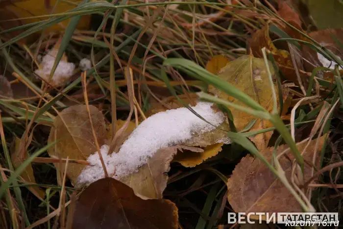 Frosts are forecast in the Volga region in the coming days.