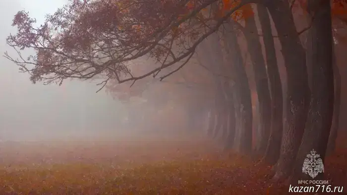 Аварийное сообщение на 23 ноября 2025 года.