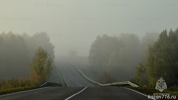 Emergency warning for November 5, 2025 (fog)