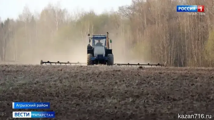 The sowing has started in 11 districts of Tatarstan.