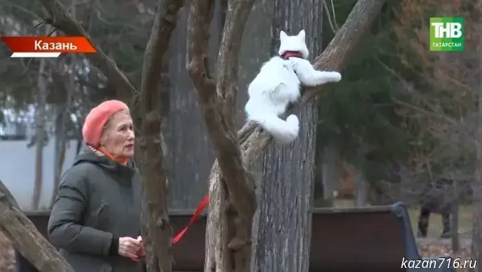 Climatologist: snow in Tatarstan is delayed again.