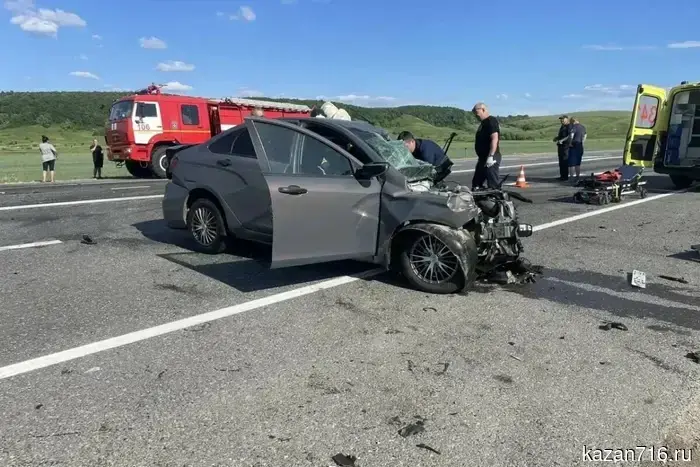 A 74-year-old driver died after crashing head-on into a truck on the highway in Tatarstan.