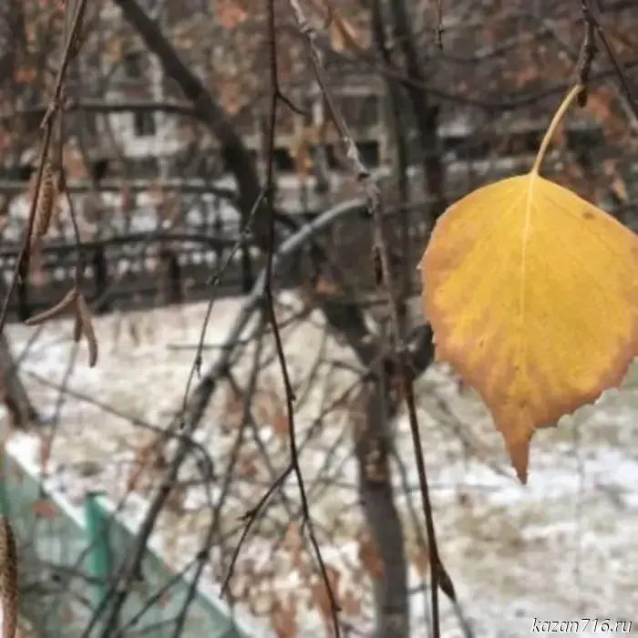 В Татарстане предсказывают первый снег.