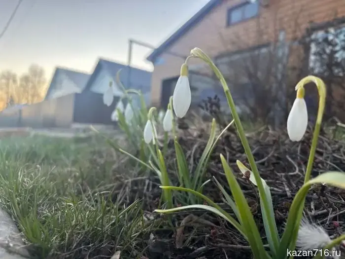 Weather on April 17 in the Laishevsky District