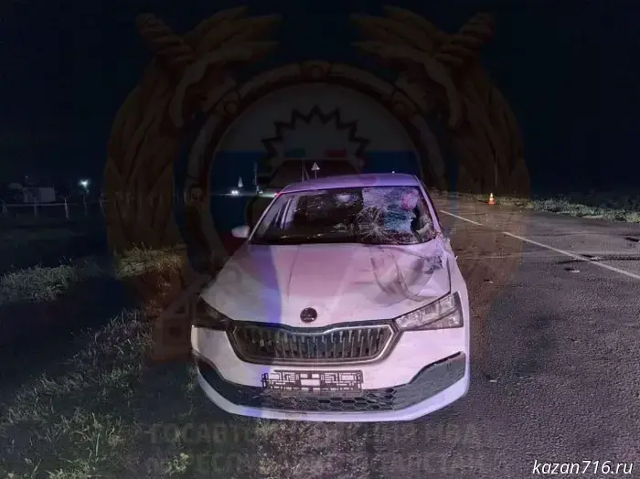 In the Tetyushsky District of Tatarstan, a passenger of a walk-behind tractor was killed after being struck by a foreign-made car.