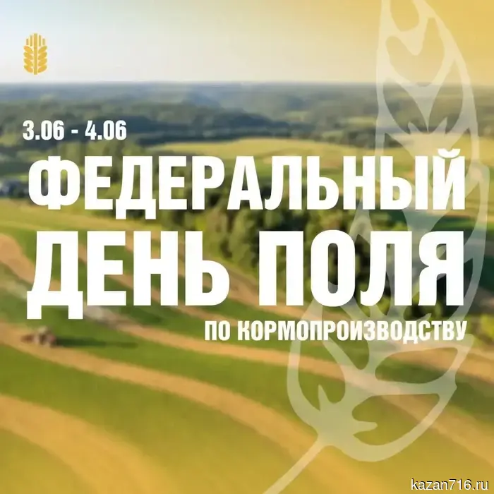 В Мензелинском районе состоится Федеральный День поля, посвященный кормопроизводству.