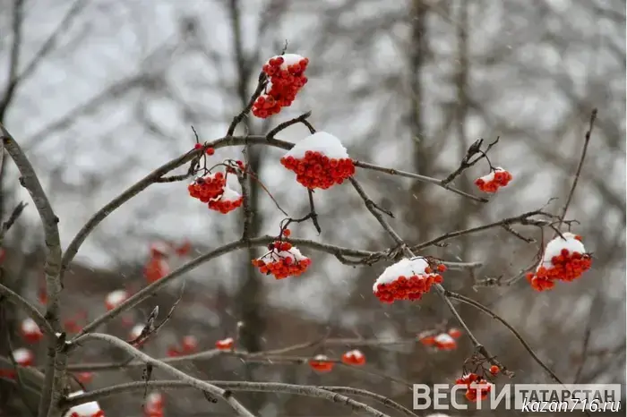 В Татарстане прогнозируется температура до -27 градусов.
