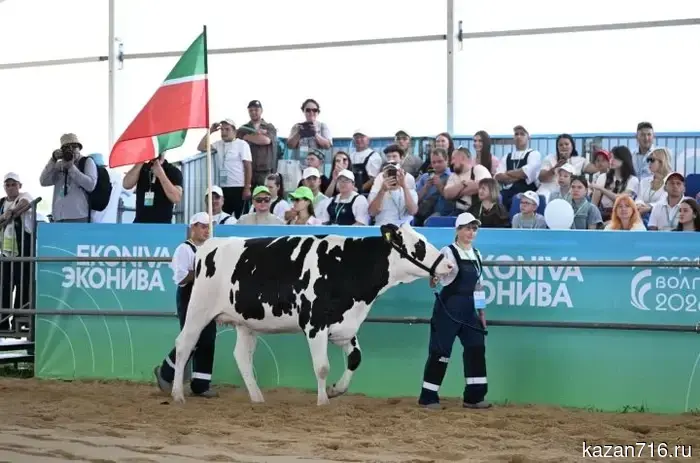 Rustam Minnikhanov: Tatarstan is one of the leaders in agricultural production in Russia.