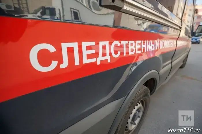 In Tatarstan, a criminal case has been opened over an attack by dogs on a child.