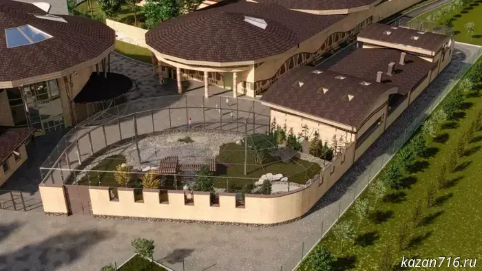 A taiga-style enclosure will be created for Amur tigers at the Kazan Zoo.
