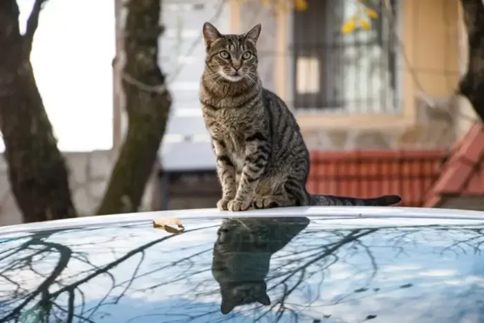 Rain showers and strong winds will hit Tatarstan at the end of the super-short workweek.