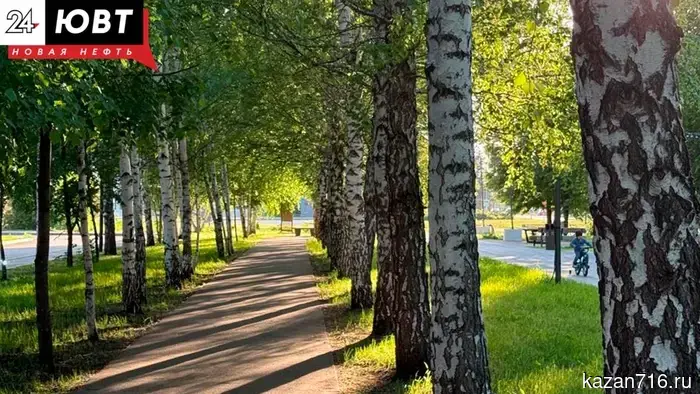 Event schedule for the week from July 7 to July 14 in Almetyevsk
